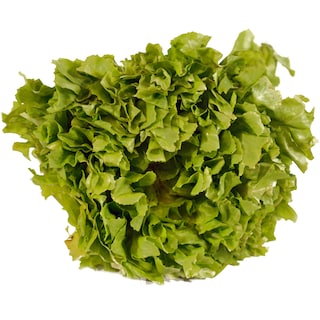 (bucata) | Salata Scarola