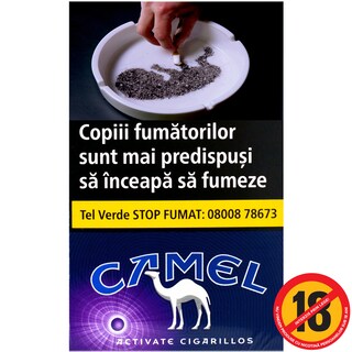 Camel | Tigari Cigarillos purple
