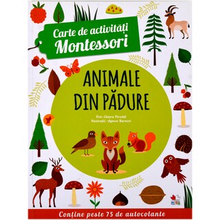 (bucata) | Carte de activitati Montessori diverse modele