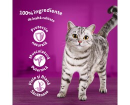 Whiskas