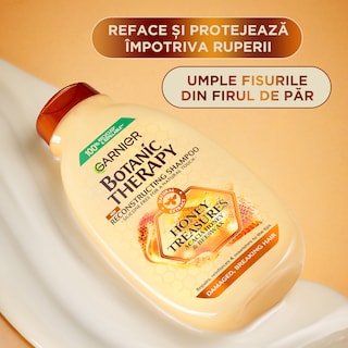 Garnier-Botanic Therapy