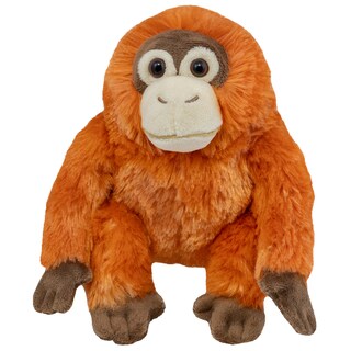 Expeditie in jurul lumii | Plus Urangutan