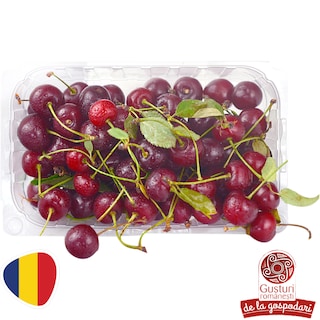 (produs ambalat) | Visine calitatea I 500g