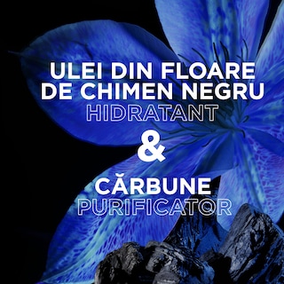 Garnier | Botanic Therapy | Balsam Magnetic Charcoal & Black Seed Oil 200ml