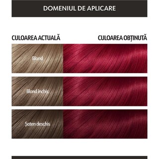 Loncolor-Expert Oil Fusion