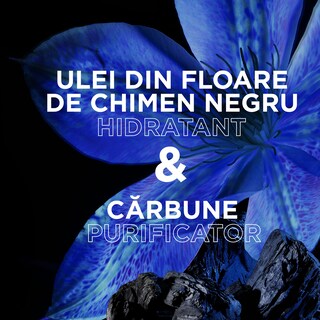 Garnier | Botanic Therapy | Masca de par Magnetic Charcoal & Black Seed Oil 340ml