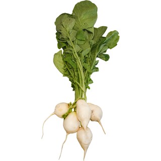 (bucata) | Ridichi albe, legatura, Romania