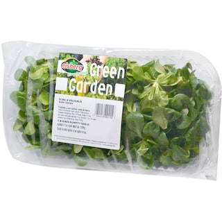 365 | Valeriana  100g