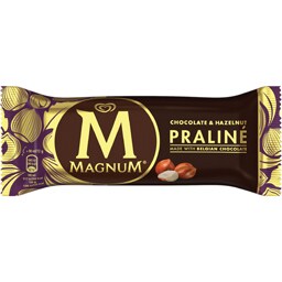 Magnum