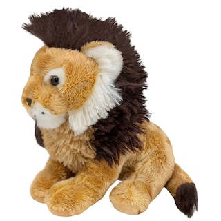 Expeditie in jurul lumii | Plus Leu