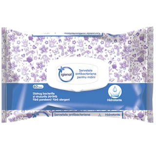 Igienol | Servetele antibacteriene pentru maini, 60 buc