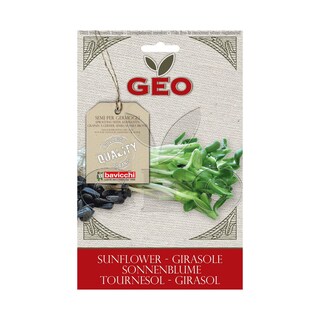 Geo | Seminte raw-vegan bio floarea soarelui 80g