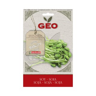Geo | Seminte raw-vegan bio soia 90g