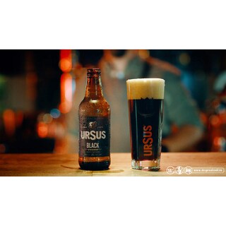 Ursus | Black | Bere neagra 0.5L