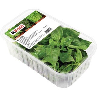 Delhaize | Busuioc  30g