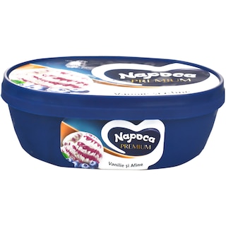 Napoca | Premium | Inghetata Vanilie si Afine 450g