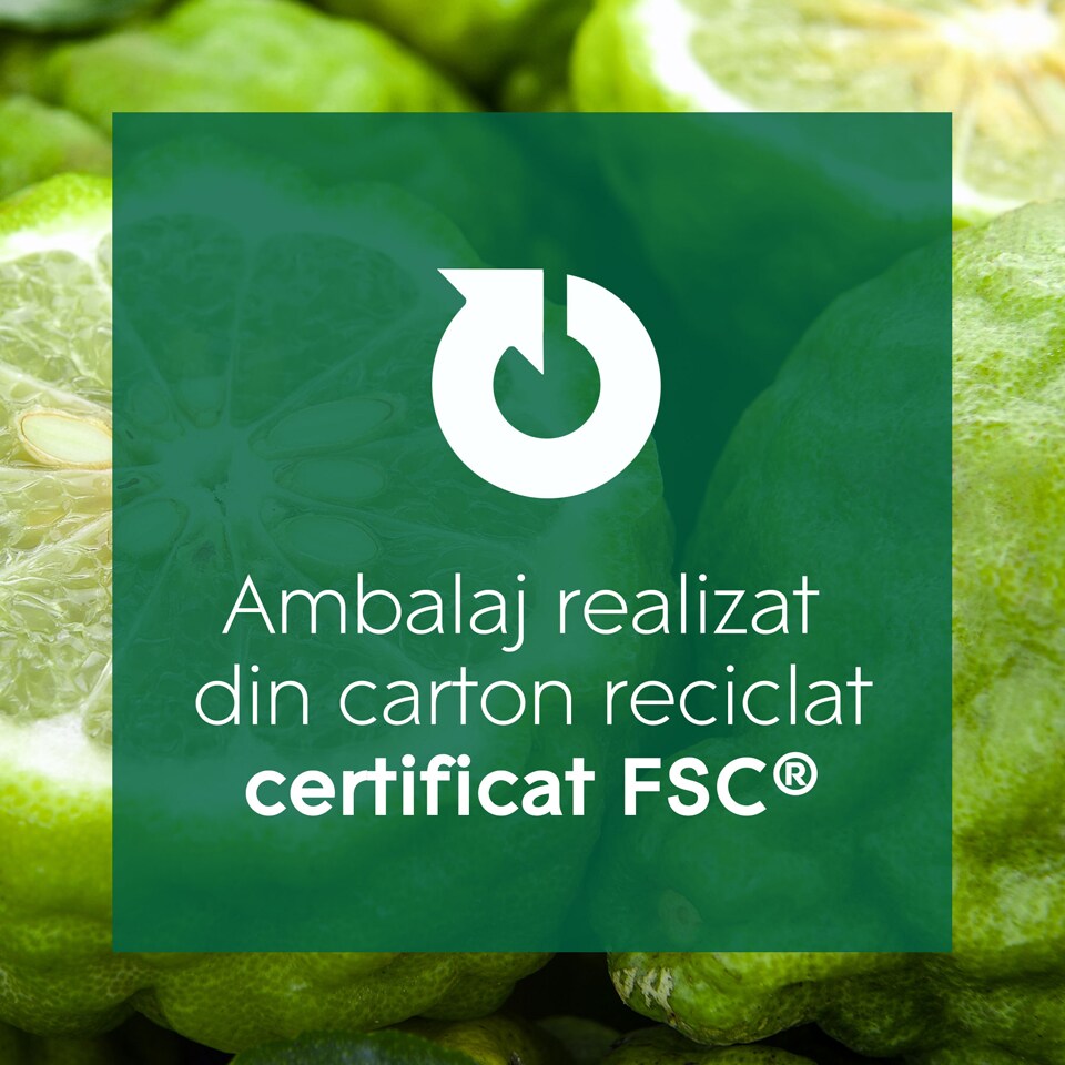 Glade Aromatherapy Betisoare parfumate Calm Mind 80ml Megaimage