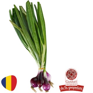Gusturi romanesti | Ceapa rosie, legatura