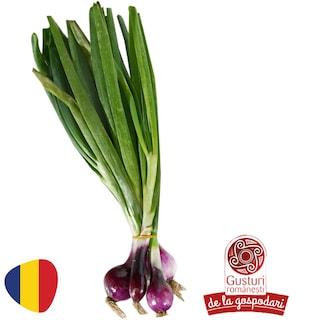 Gusturi romanesti | Ceapa rosie, legatura