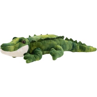 Expeditie in jurul lumii | Plus Crocodil