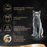 Sheba