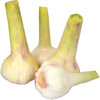 (vrac) | Usturoi nou, import