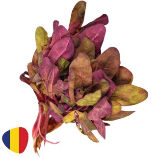 (bucata) | Loboda legatura