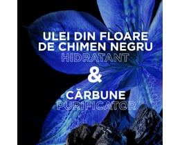 Garnier | Botanic Therapy | Sampon Magnetic Charcoal & Black Seed Oil 400ml