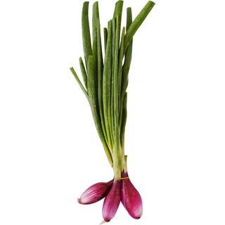 (bucata) | Ceapa rosie legatura