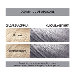 Loncolor | Masca coloranta semipermanenta S12 GoSilver]