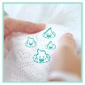 Pampers-Premium Care