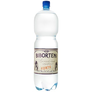 Biborteni | Apa minerala naturala, carbogazificata forte 2L