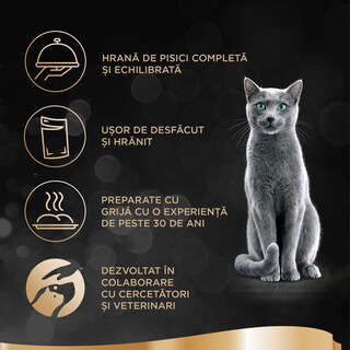 Sheba