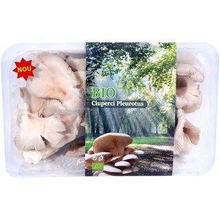 Eco | Ciuperci eco Pleurotus 400g