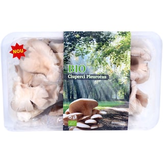 Eco | Ciuperci eco Pleurotus 400g