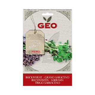 Geo | Seminte raw-vegan bio hrisca 90g