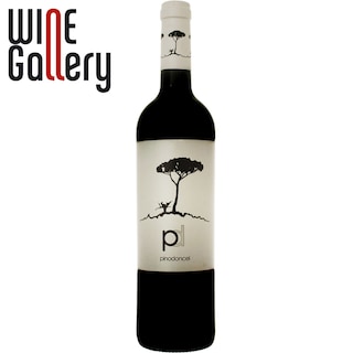 Pino Doncel | Vin rosu 0.75l