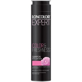 Loncolor-Expert