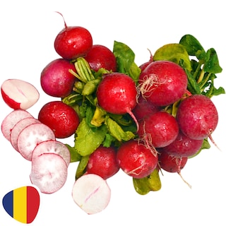 (bucata) | Ridichi, legatura