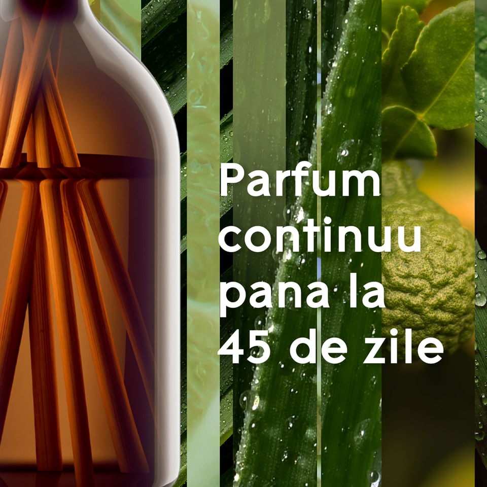 Glade Aromatherapy Betisoare parfumate Calm Mind 80ml Megaimage