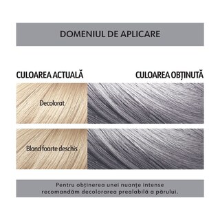 Loncolor | Masca coloranta semipermanenta S12 GoSilver]