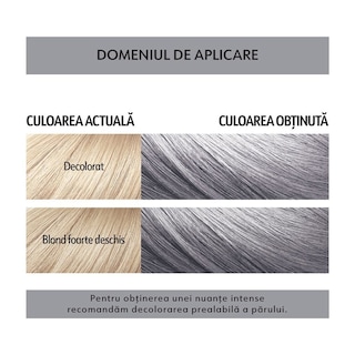 Loncolor | Masca coloranta semipermanenta S12 GoSilver]