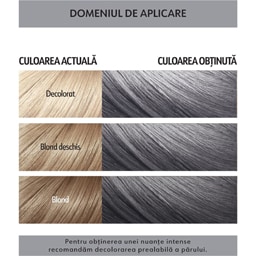 Loncolor | Masca coloranta semipermanenta S11 GoDarkSilver]