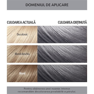 Loncolor | Masca coloranta semipermanenta S11 GoDarkSilver]