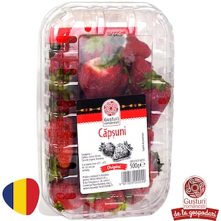 Gusturi romanesti | Capsuni 500g