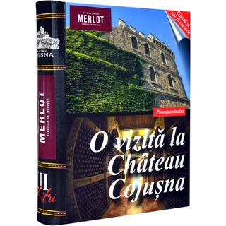 Cojusna | Vin rosu Carte Merlot 3L