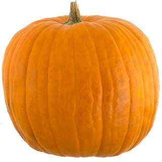 (bucata) | Dovleac mare Halloween