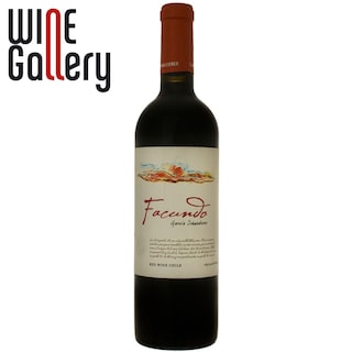 Facundo Garcia | Vin Cabernet Sauvignon Cabernet Franc, Carignan, Petit Verdot 0.75L