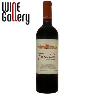 Facundo Garcia | Vin Cabernet Sauvignon Cabernet Franc, Carignan, Petit Verdot 0.75L