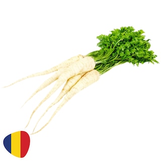 (bucata) | Patrunjel radacina, legatura